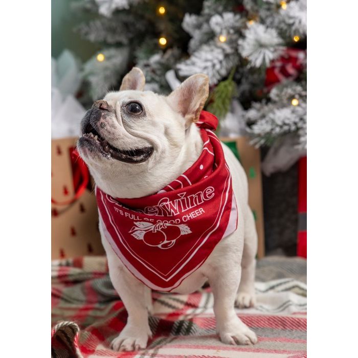 Cheerwine Bandana - Cheerwine.com
