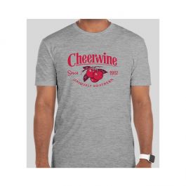 vintage-cherry-branch-tshirt.jpg